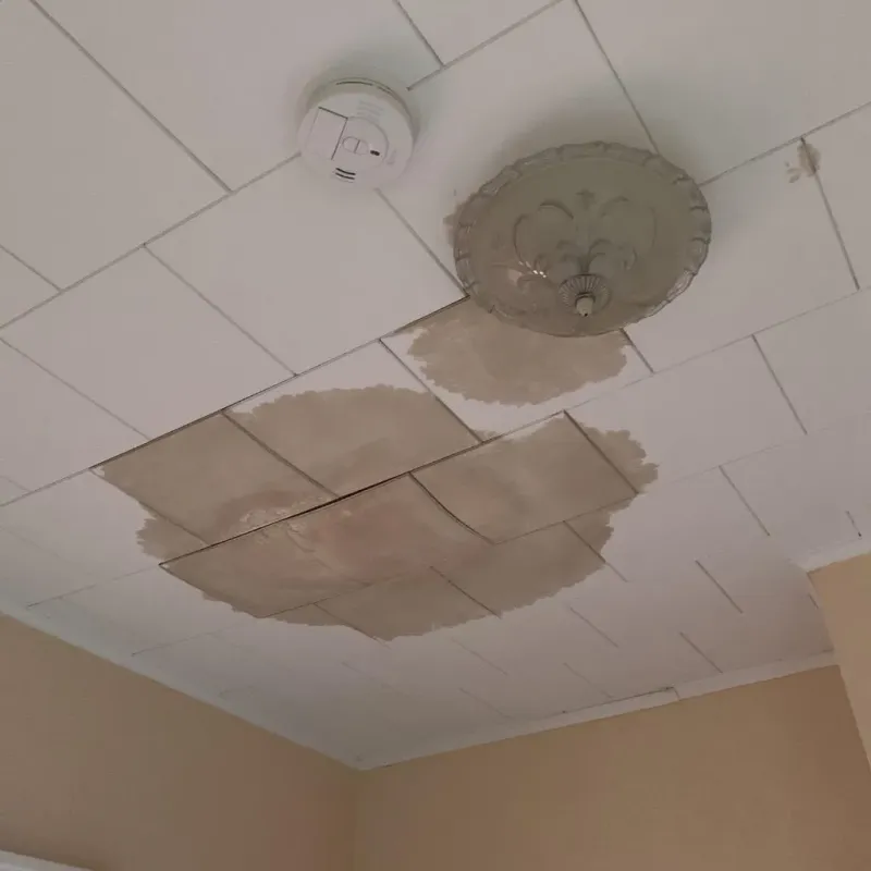 Ceiling Water Damage Repair in Fayetteville, NY