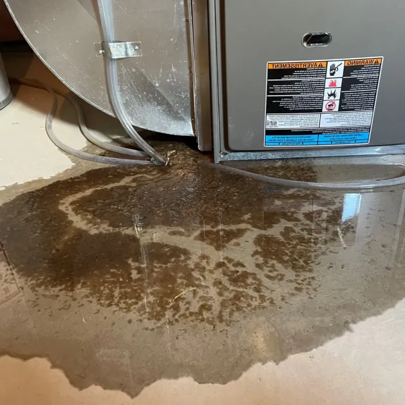 Pipe Burst and Leak Restoration in Fayetteville, NY